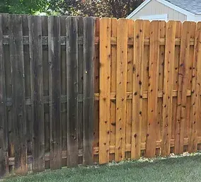 fence